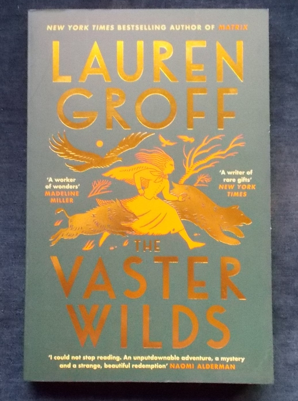 The Vaster Wilds: Lauren Groff