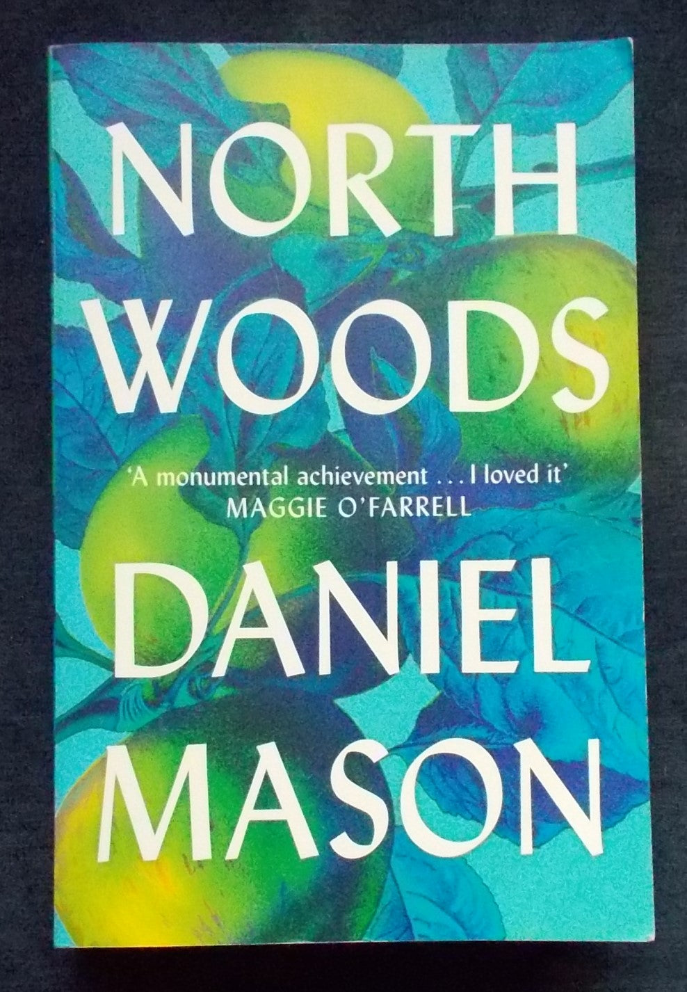 North Woods: Daniel Mason