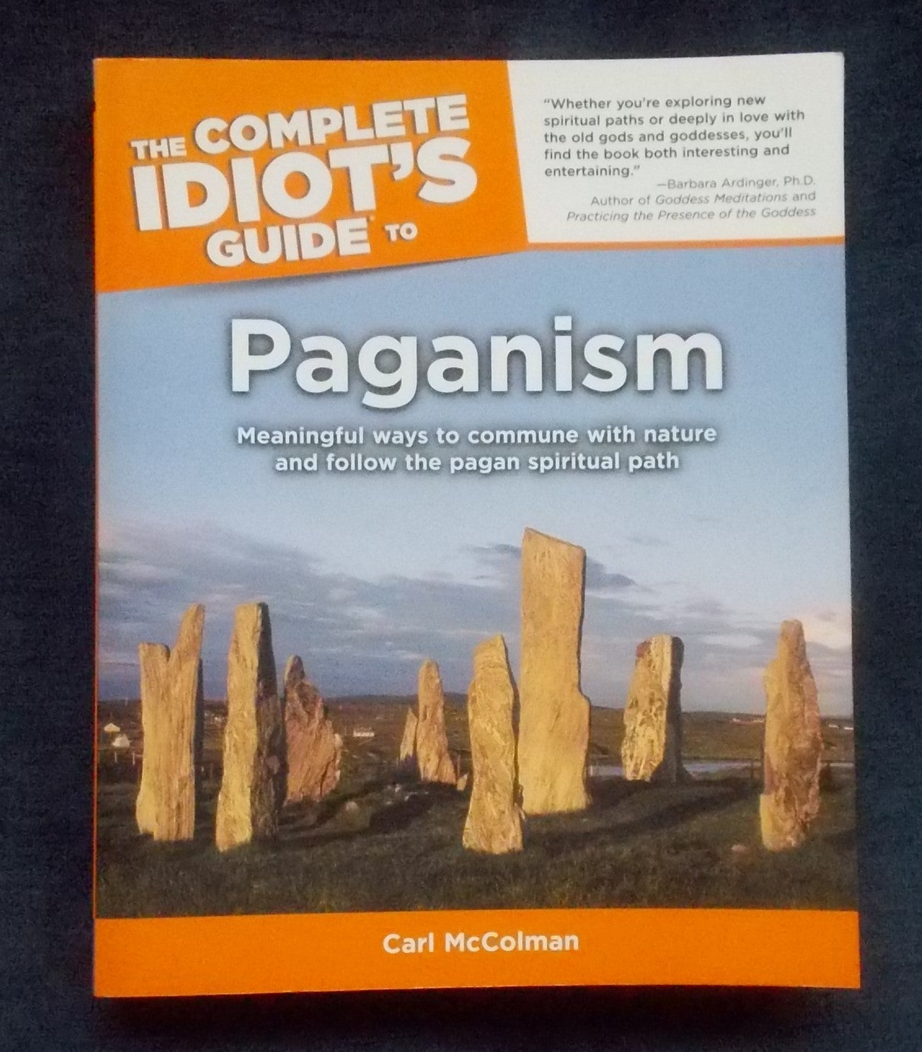 The Complete Idiot's Guide To Paganism: Carl McColman