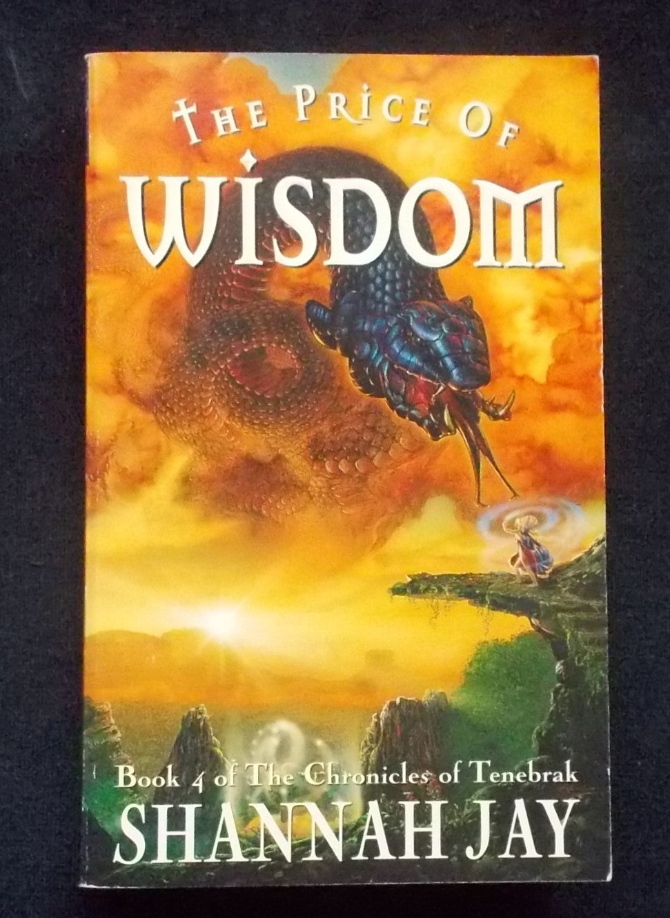 The Price Of Wisdom: Shannah Jay