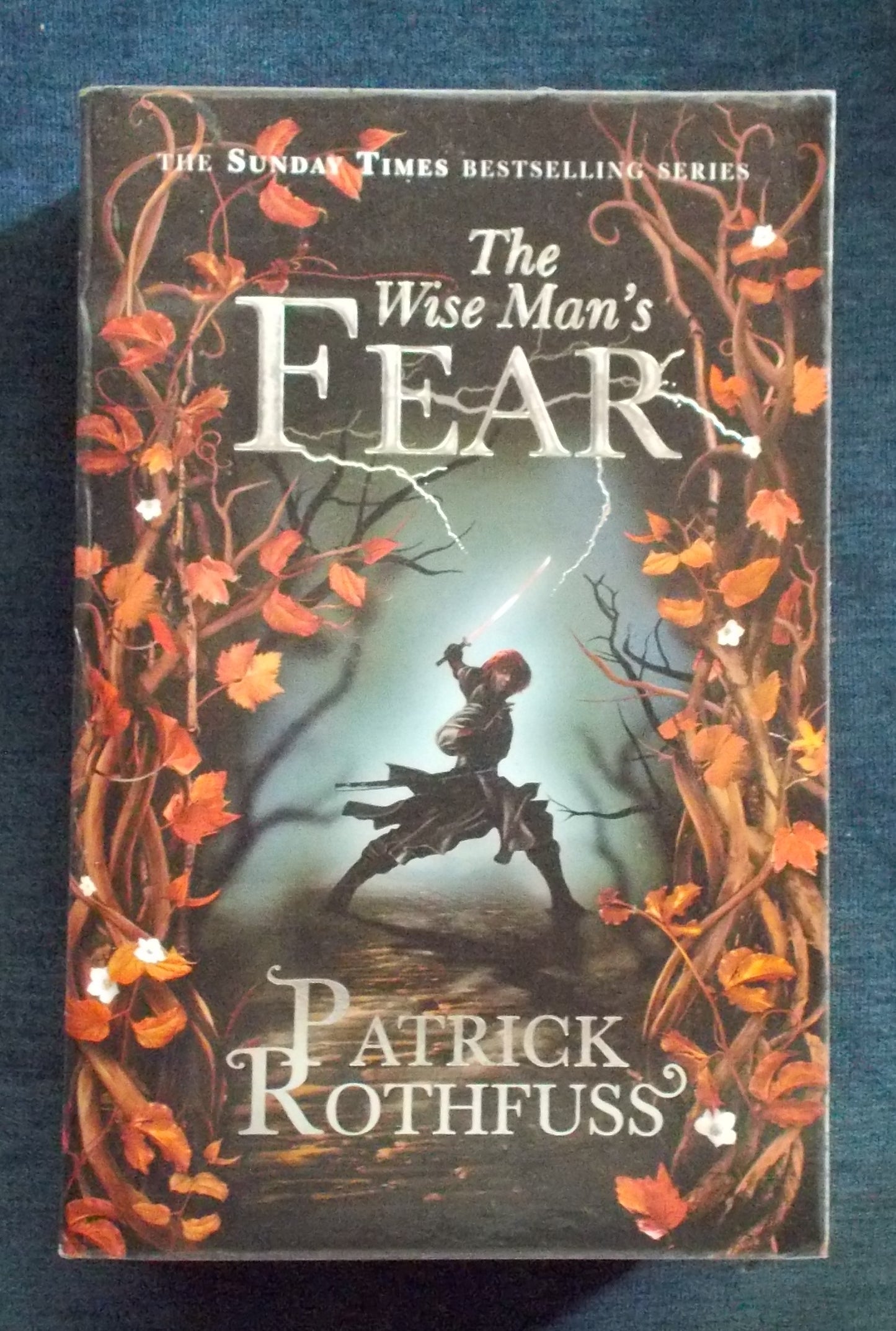 The Wise Man's Fear: Patrick Rothfuss