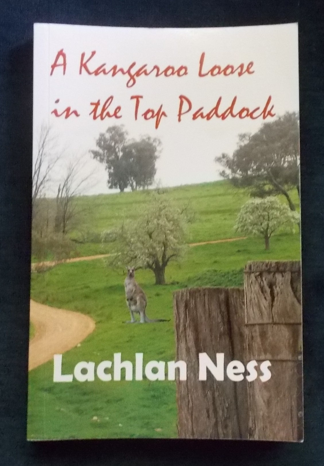 A Kangaroo Loose In The Top Paddock: Lachlan Ness