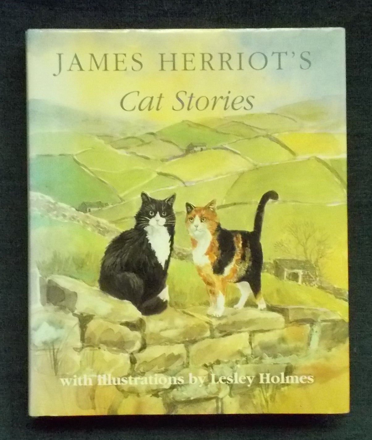 James Herriot's Cat Stories: James Herriot