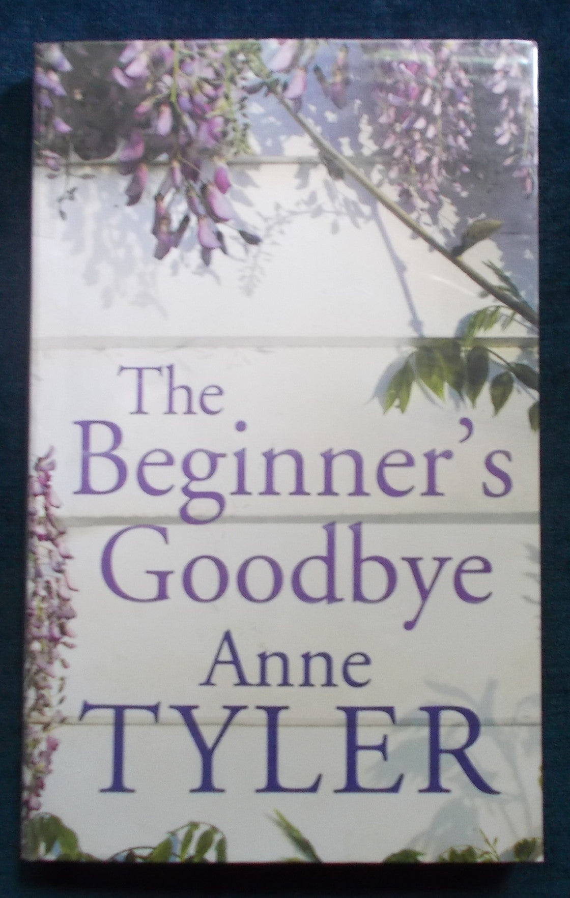 Beginner's Goodbye