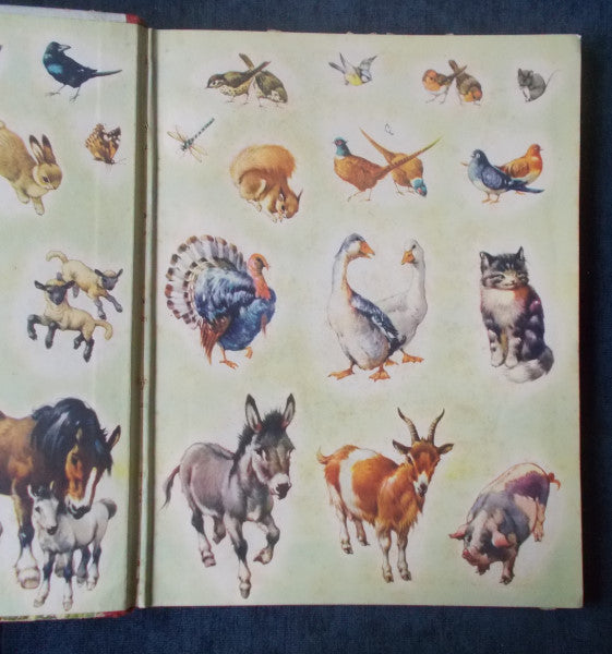 Farmyard Friends Endpapers