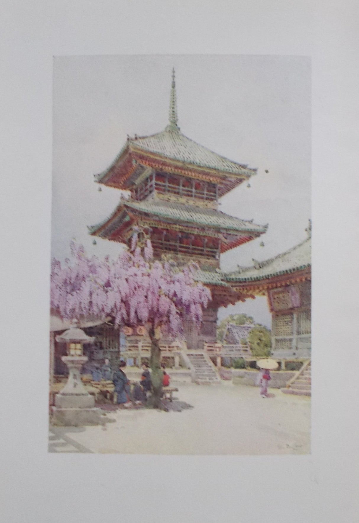 Flowers And Gardens Of Japan 2