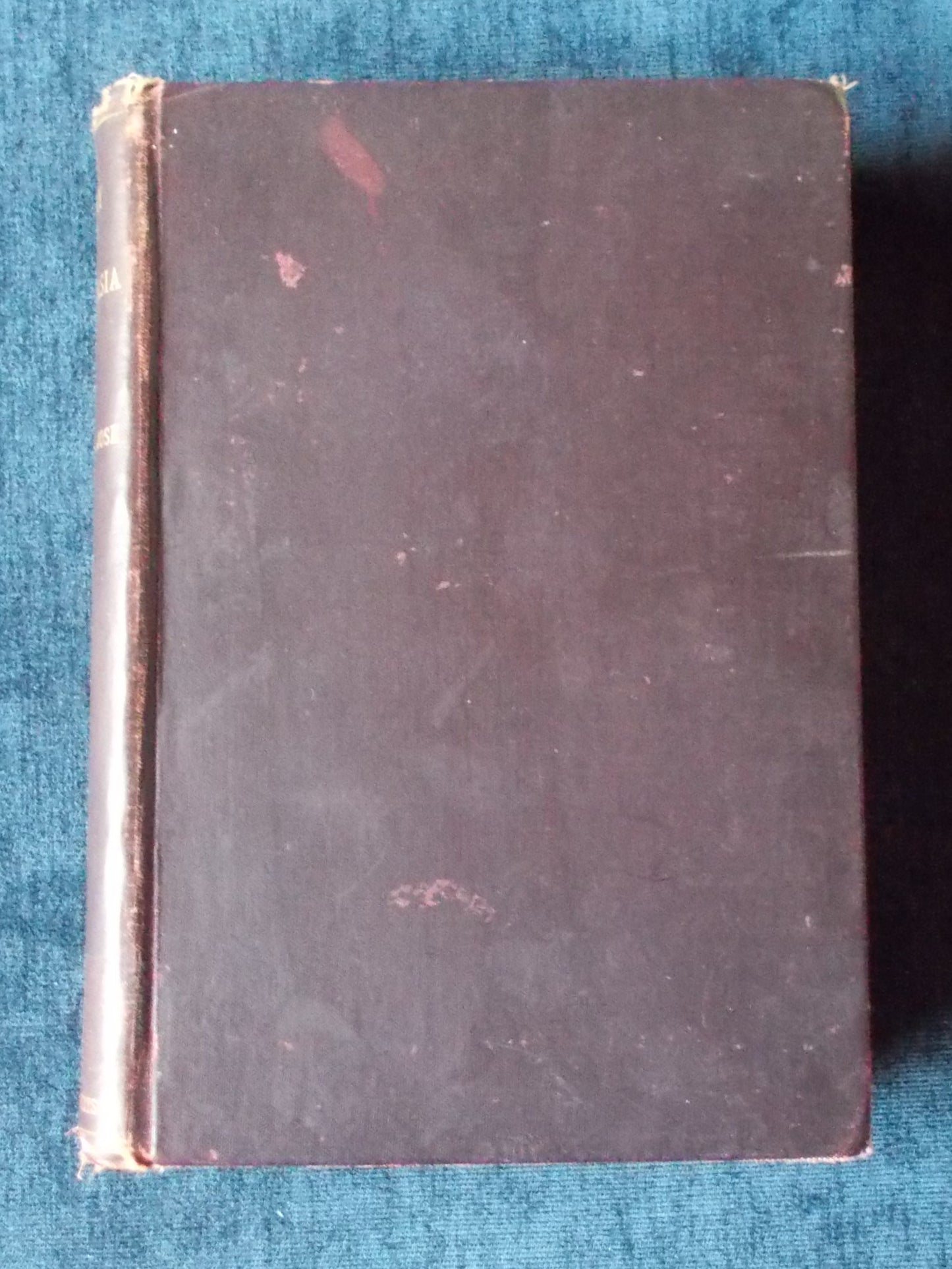 History Of Australasia Boards