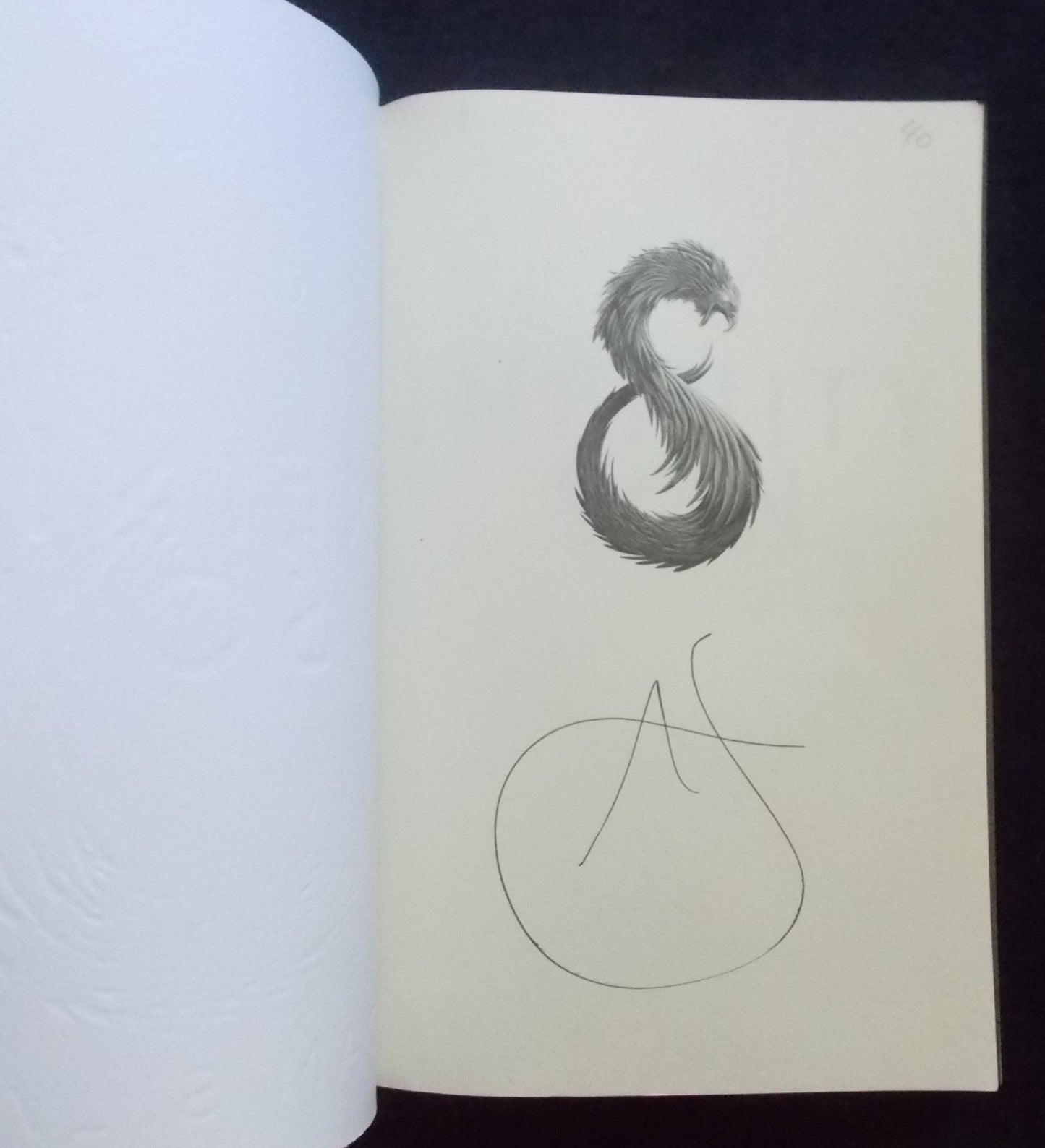 Infinity Son Auto