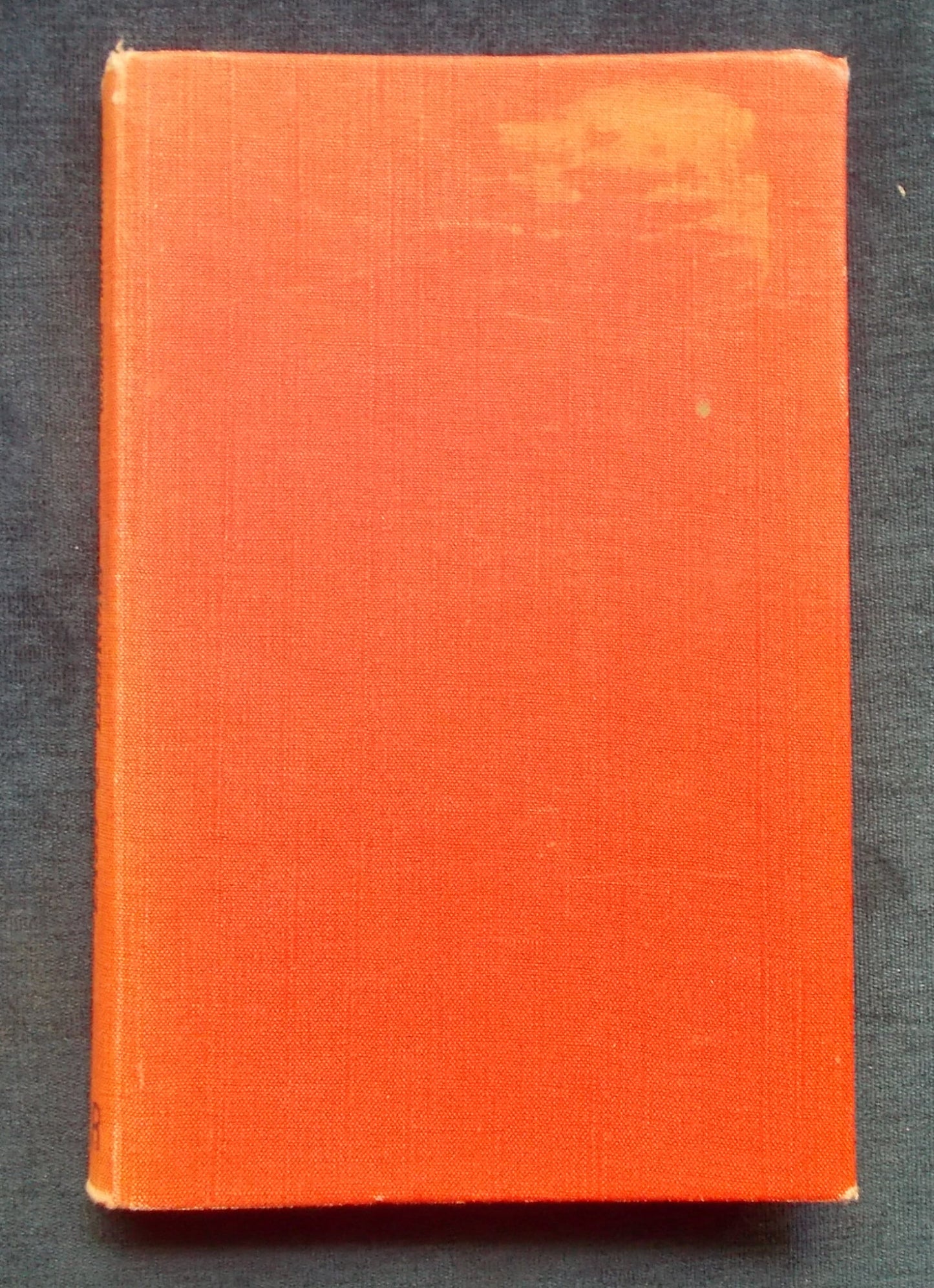 Lags And Legirons Boards