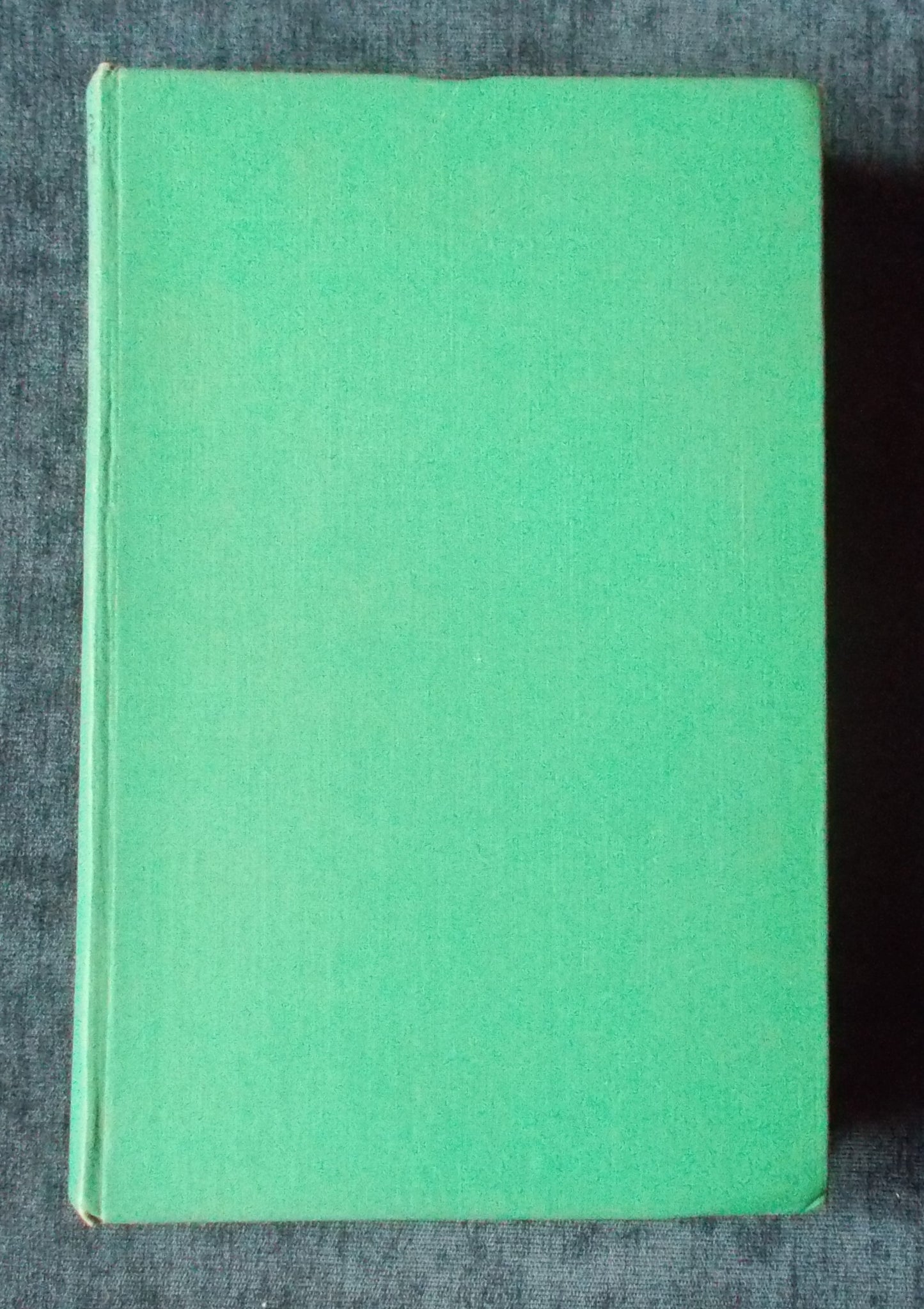 Prowling Through Papua Boards