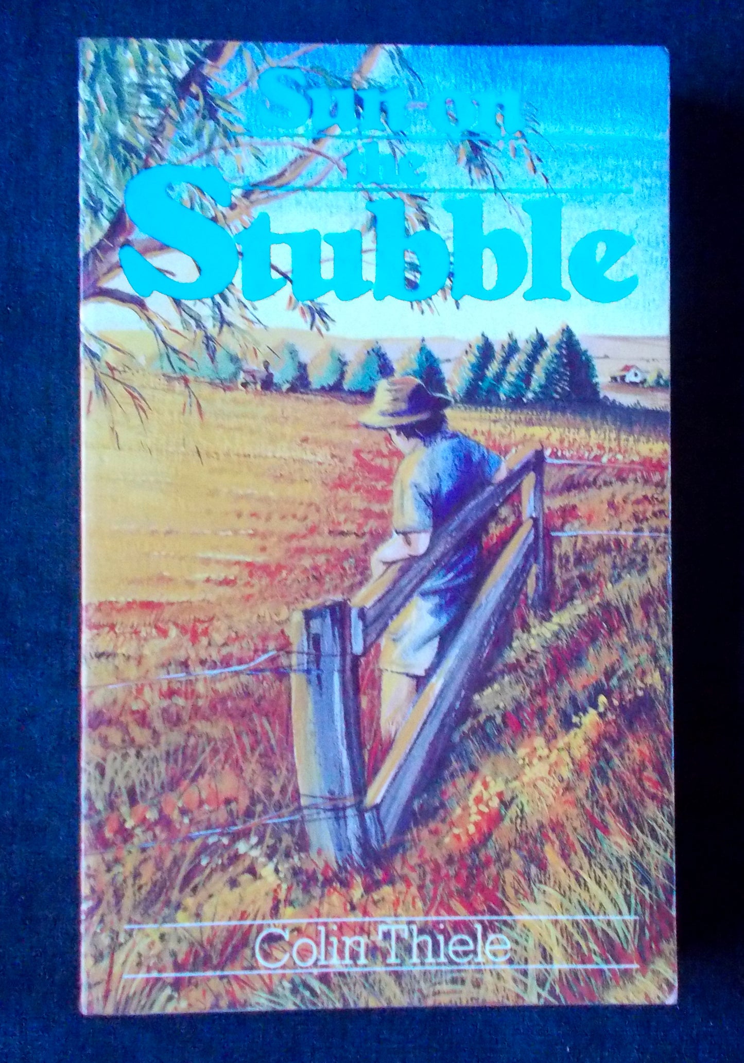 Sun On The Stubble