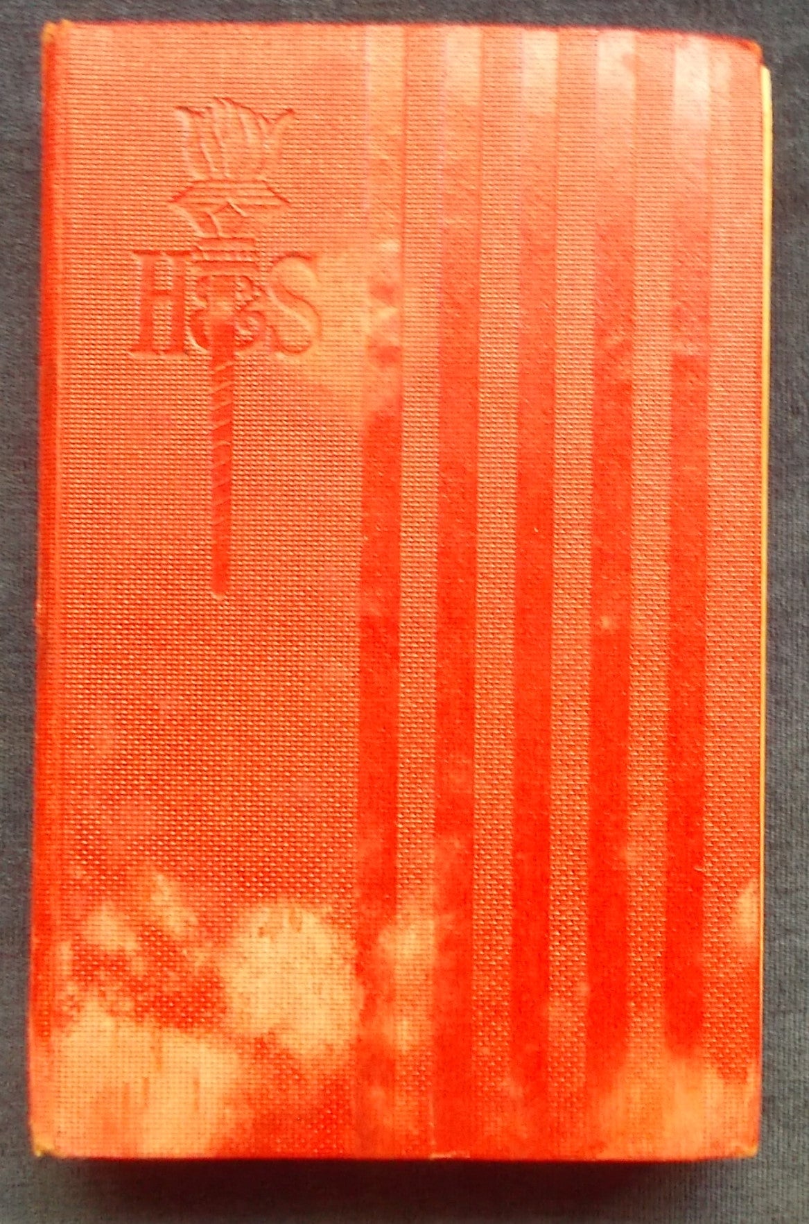 Valley Of The Giants Boards