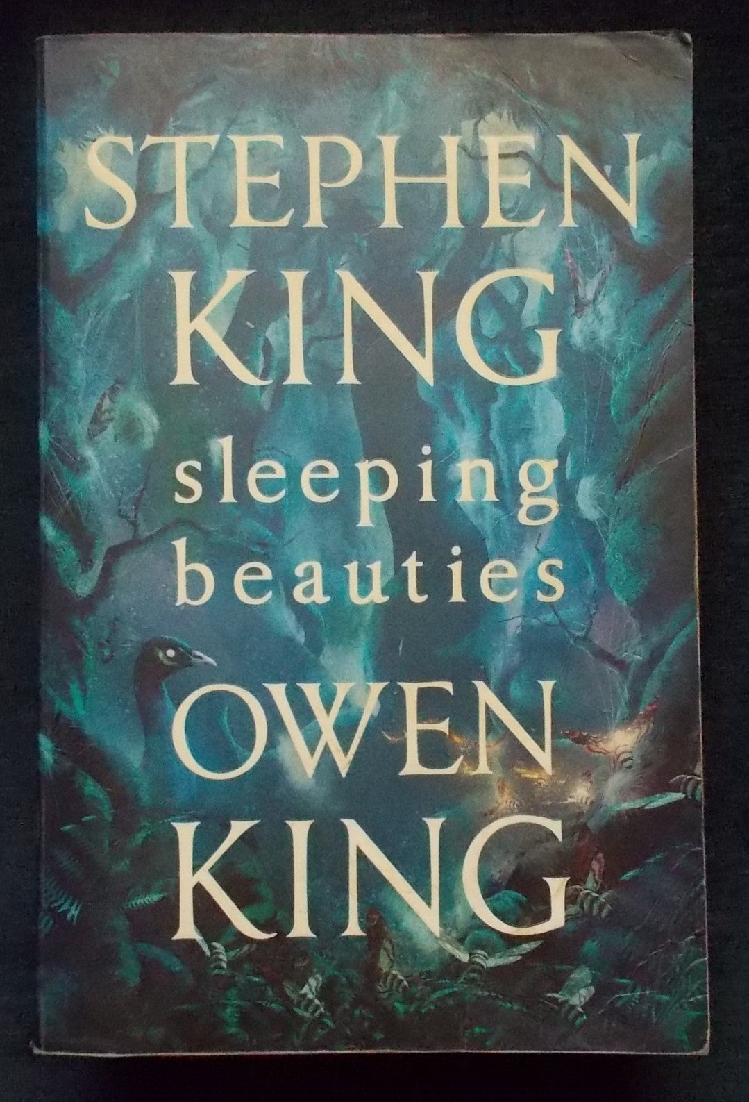 Sleeping Beauties:  Stephen King; Owen King