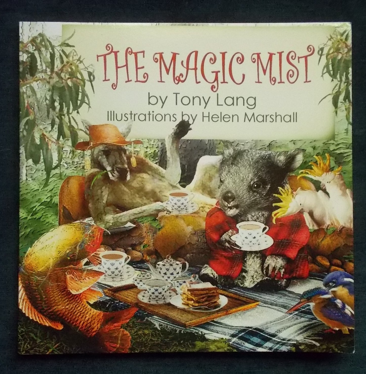 The Magic Mist:  Tony Lang