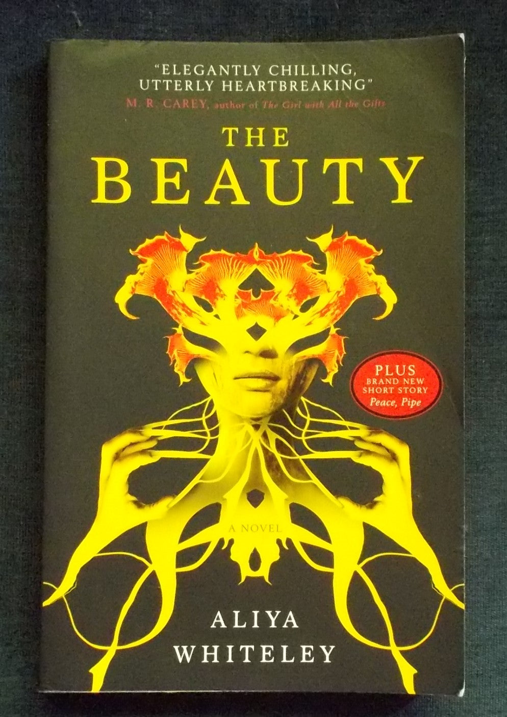 The Beauty: Aliya Whiteley