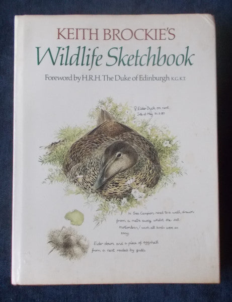 Kenneth Brockie Wildlife Sketchbook