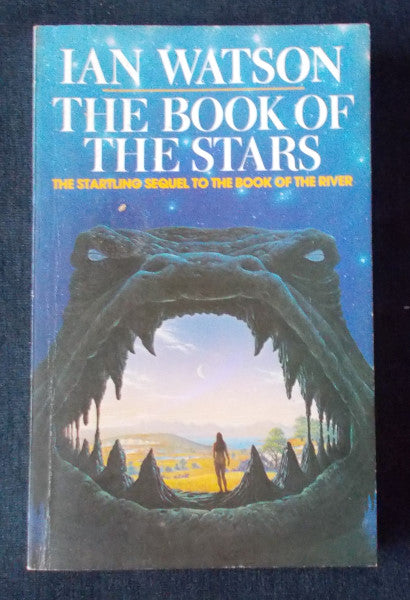 Book Of The Stars