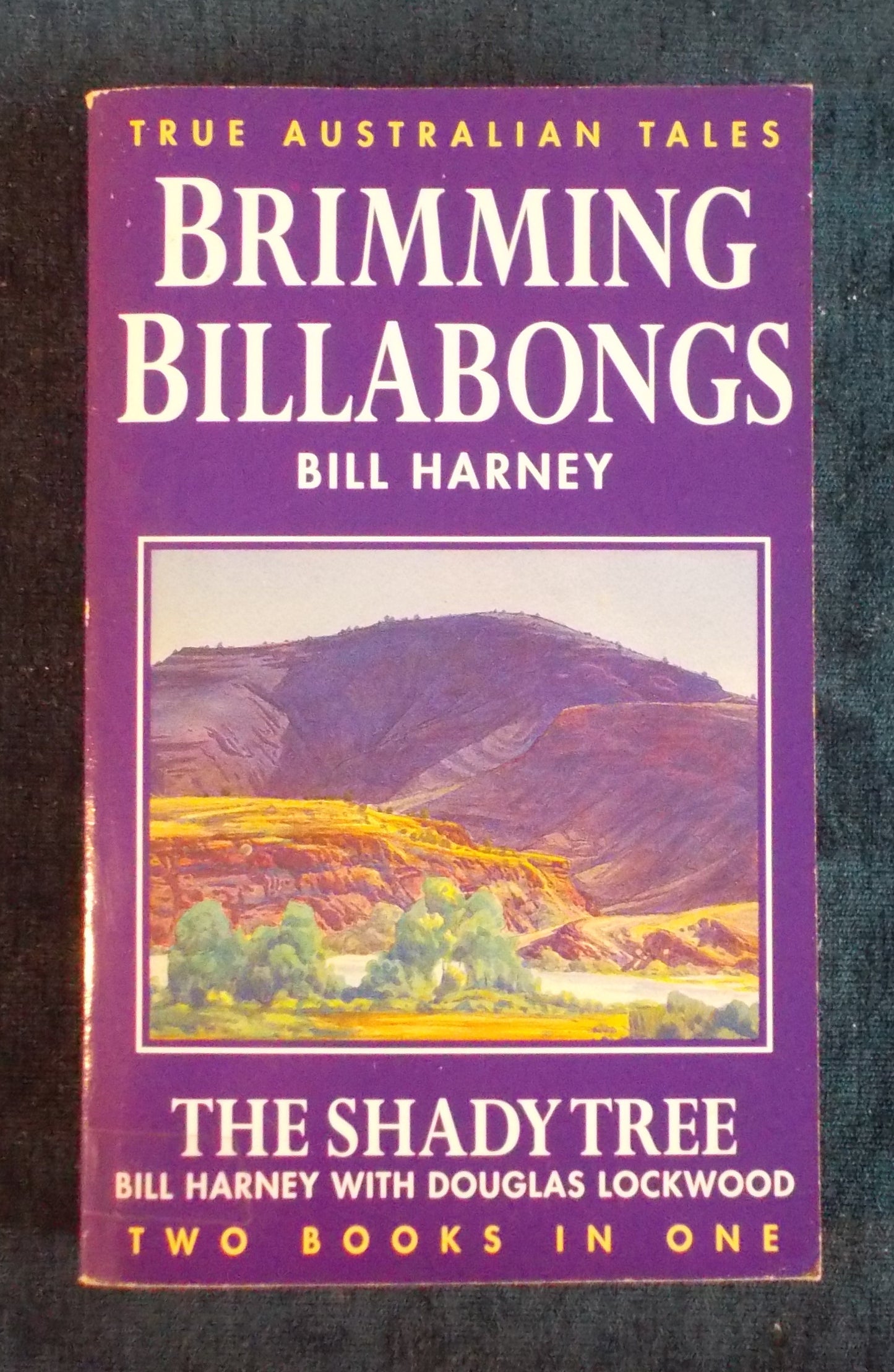 Brimming Billabongs Shady Tree