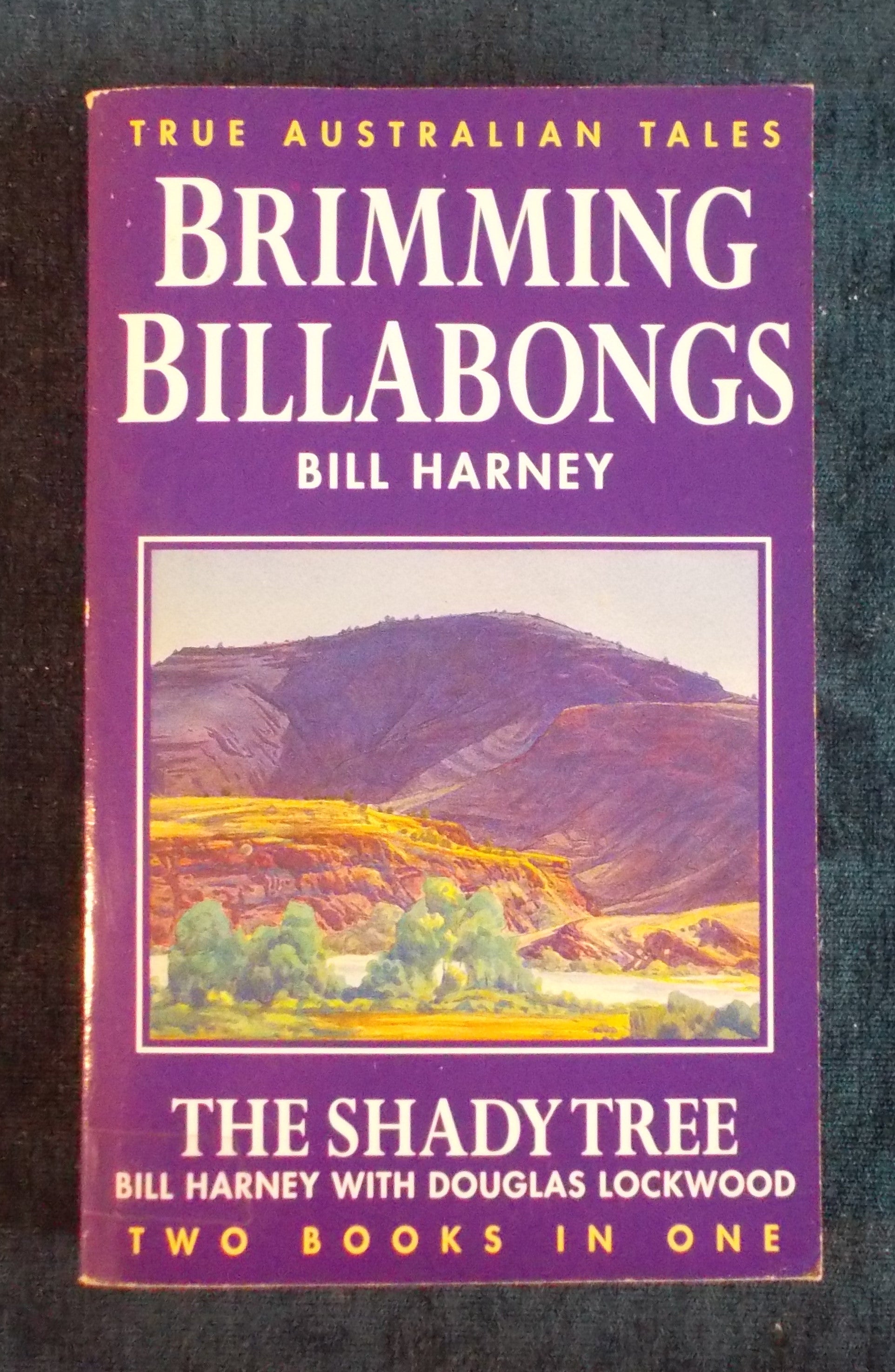 Brimming Billabongs Shady Tree