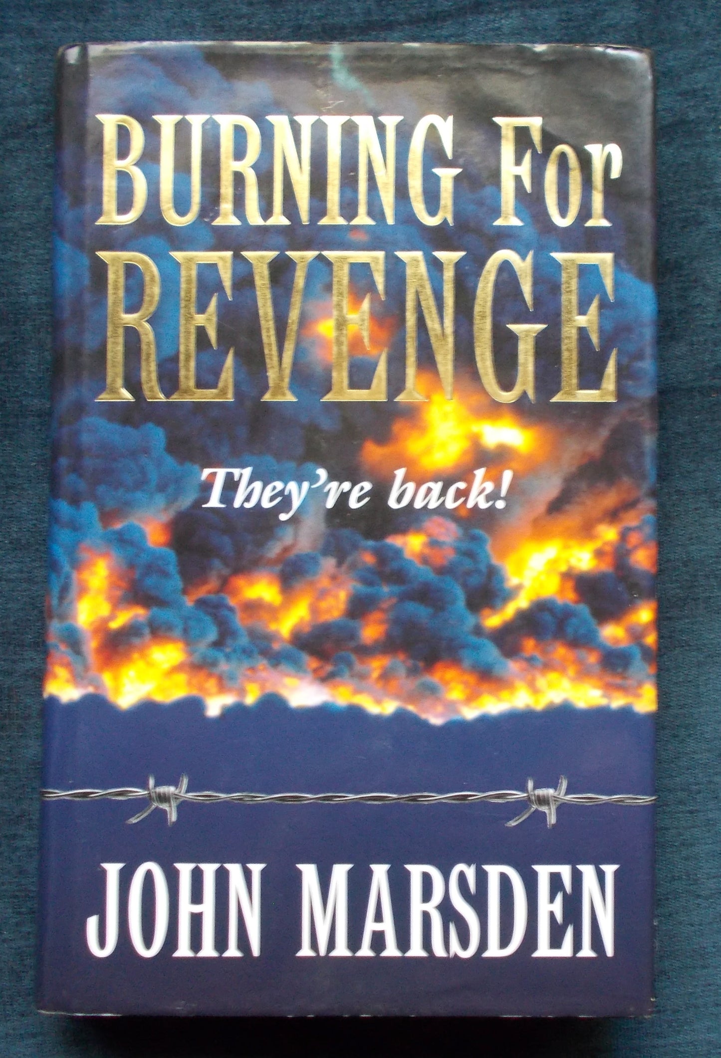 Burning For Revenge