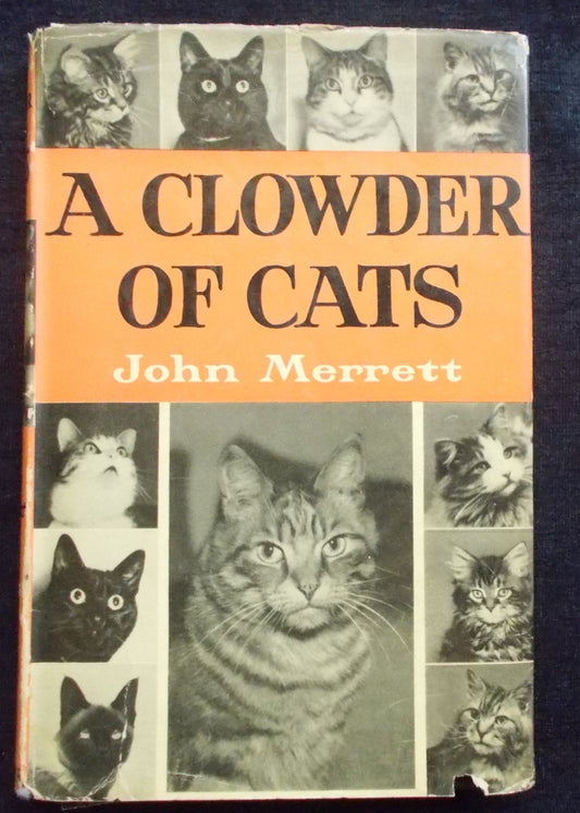 Clowder Of Cats