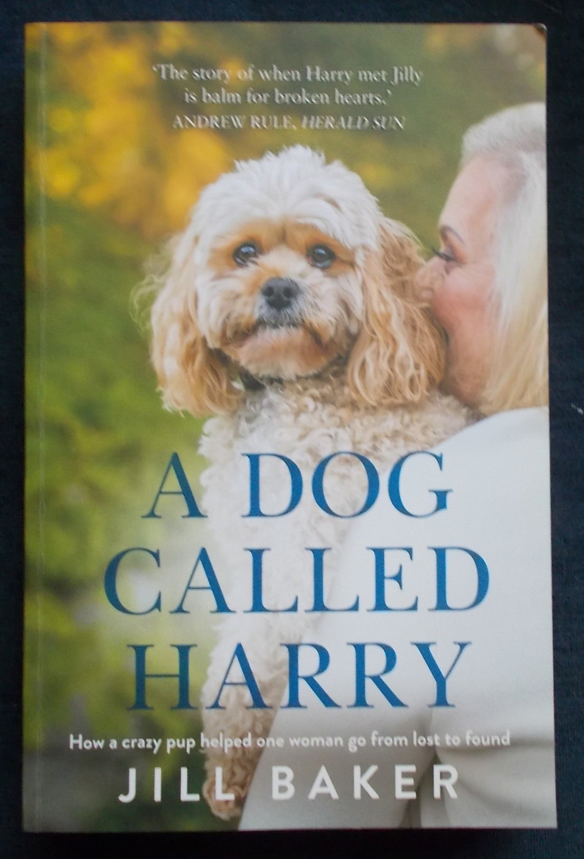 Dog Called Harry