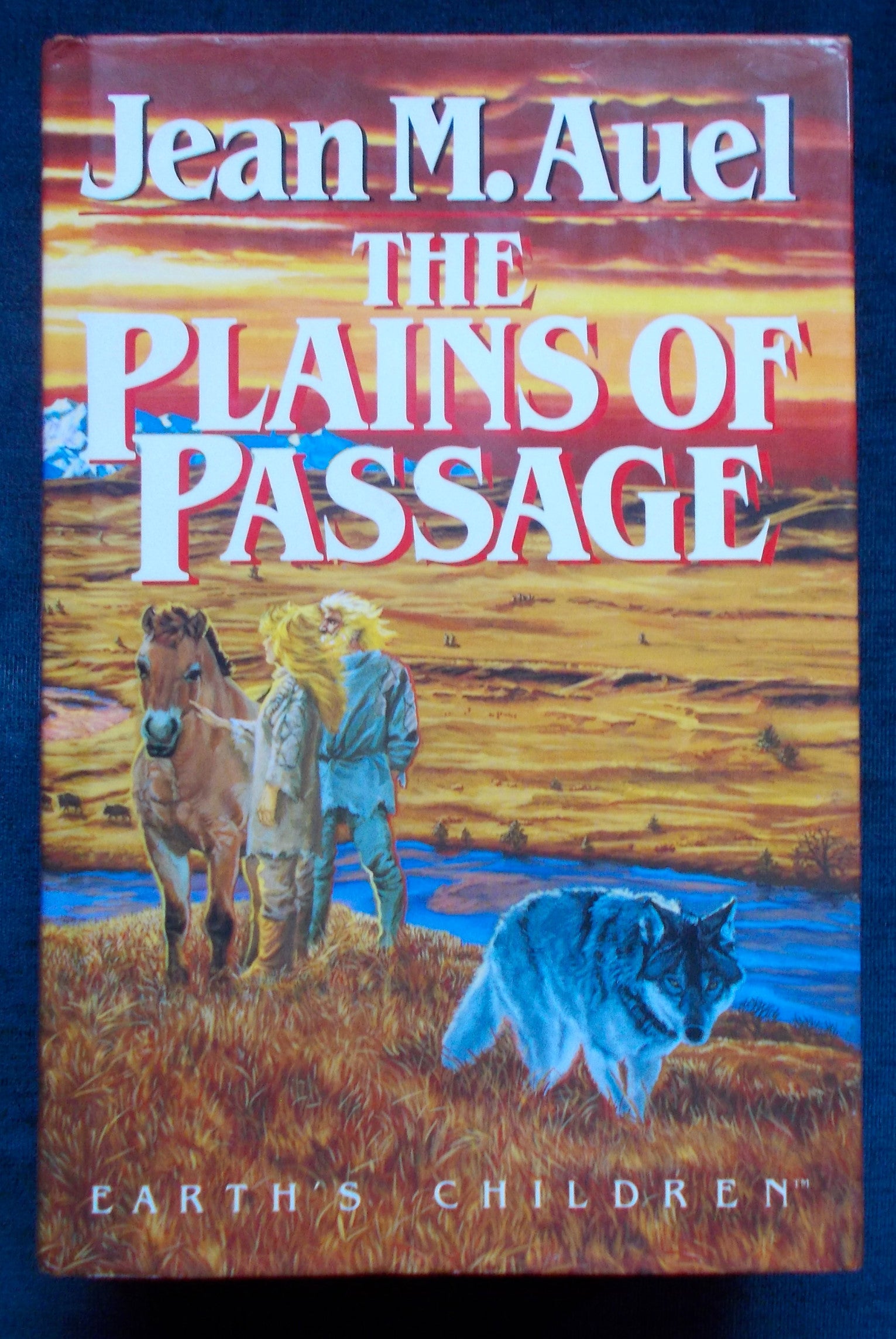 The Plains Of Passage